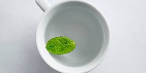 a mint leaf floating in a mug of water