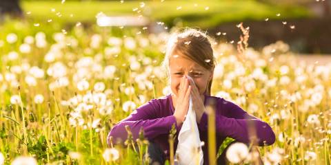 A little girl in a field, sneezing her poor head off.