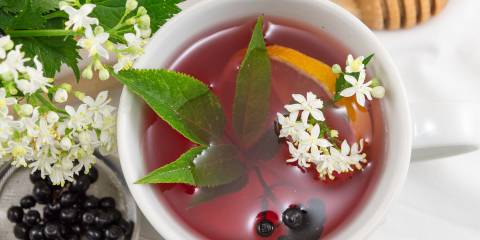 A cup of elderberry tea, with a lemon slice and honey