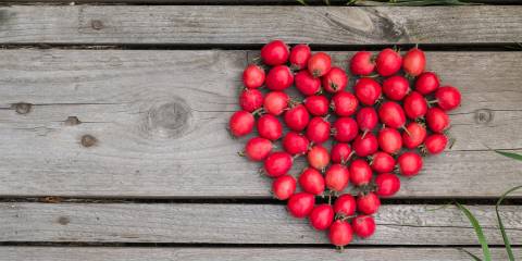 Red heart of hawthorn berries on a wooden background. 