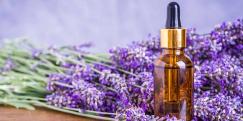 Lavender essential oil for aromatherapy