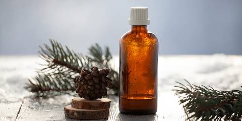 an aromatherapy bottle surrounded by springs of pine and pinecones