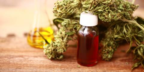 Hemp, hemp oil, and a CBD extraction