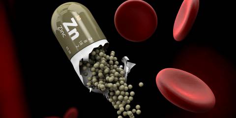 zinc in the bloodstream