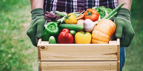 a farmer holding a crate of fresh organic produce