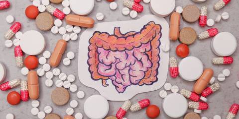 a drawing of the digestive system, surrounded by tablets and capsules