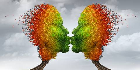 two trees with autumn leaves giving each other a smooch