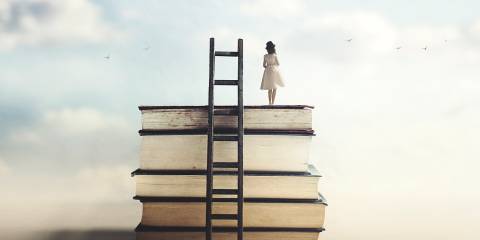 a woman who climbed up books with a ladder