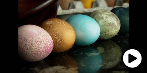 a variety of naturally dyed easter eggs