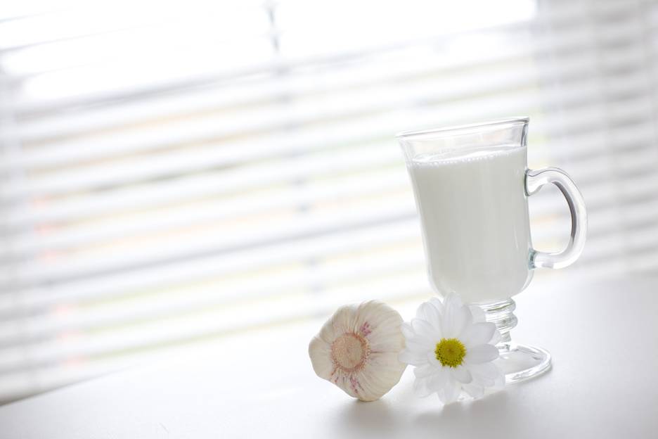 Milk as a Garlic Breath Remedy Taste For Life