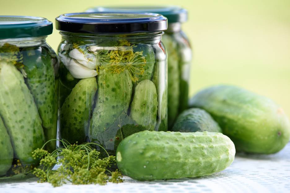 Fermented GarlicDill Pickles Taste For Life