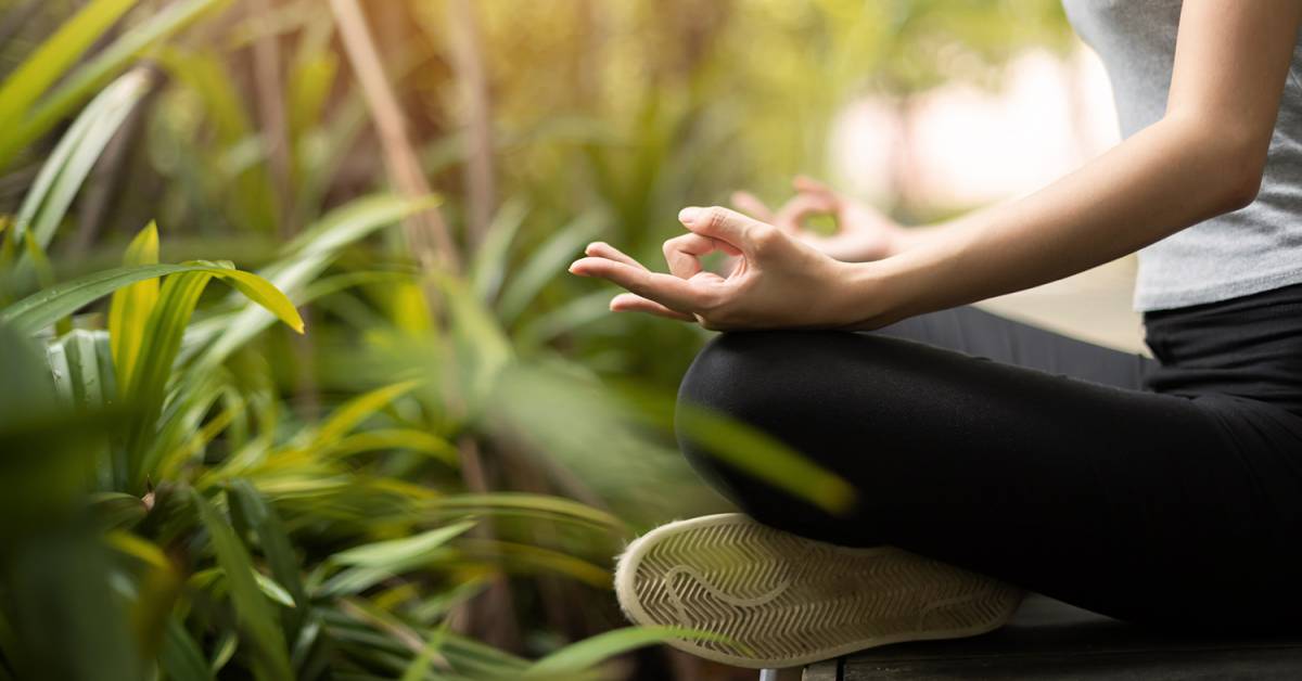 Mindfulness and Nature | Taste For Life