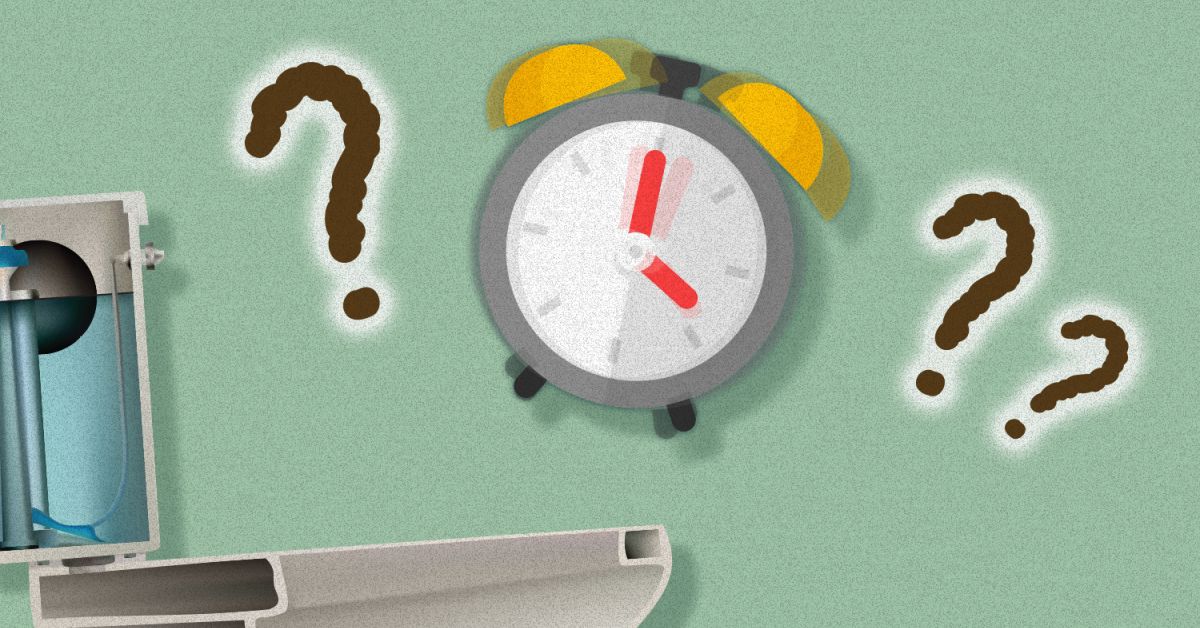 How Often Should You Poop Taste For Life