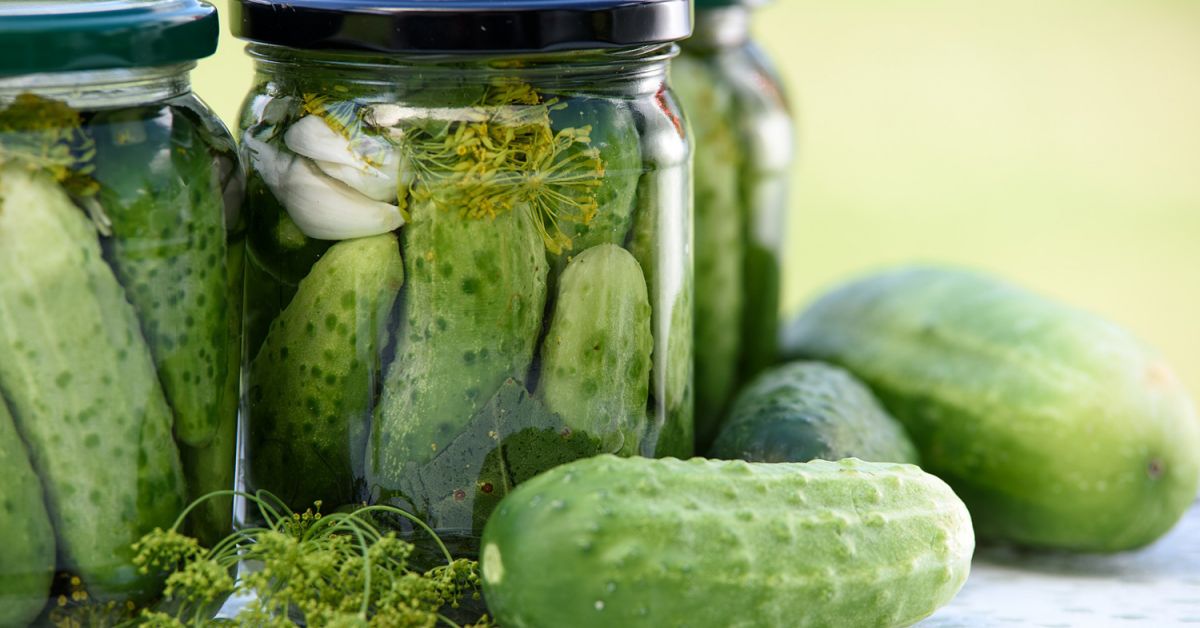 Fermented GarlicDill Pickles Taste For Life