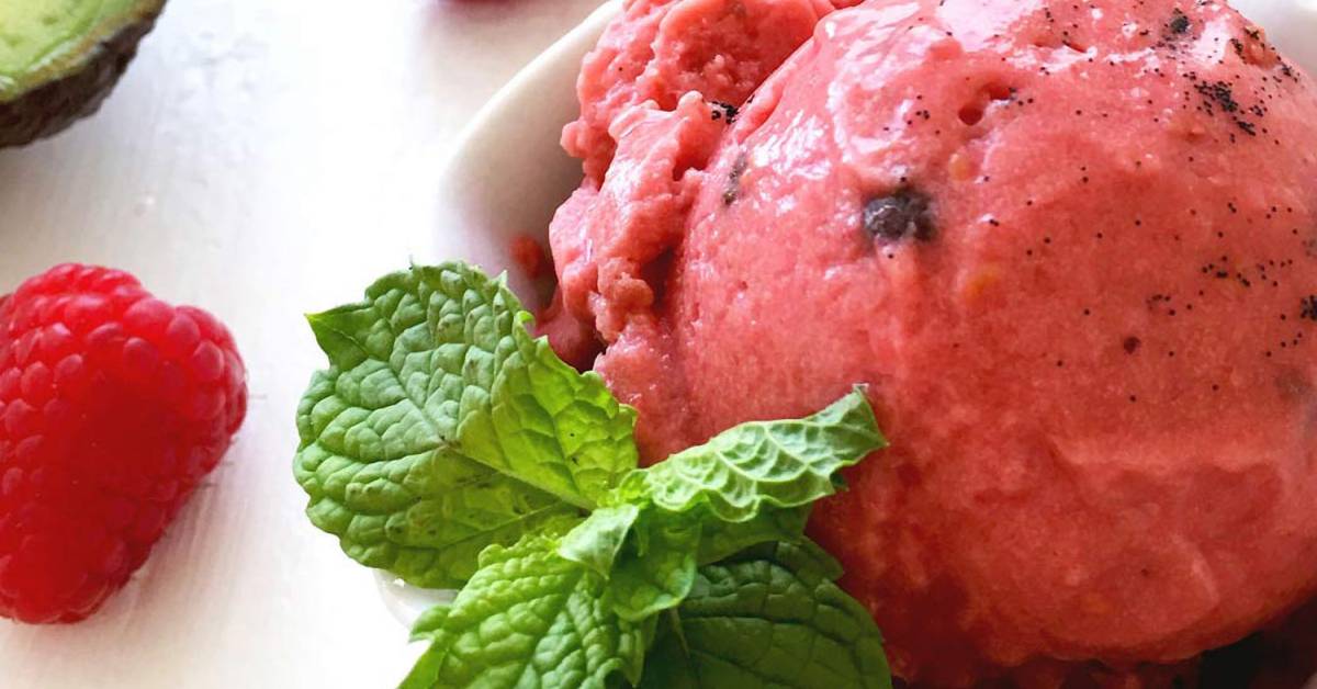 Boiron Sorbet Recipes Dandk Organizer