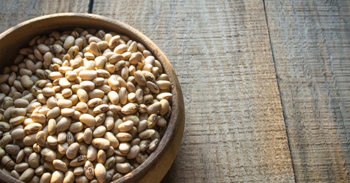 Roasted Soybeans Taste For Life