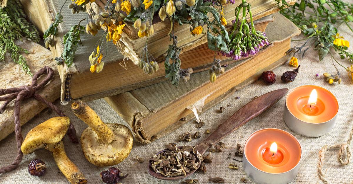 Mushroom-to-Herb Comparisons | Taste For Life