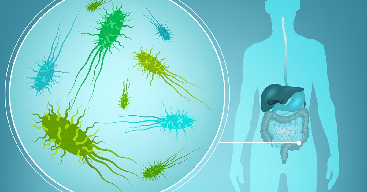 View of Probiotics and Your Immune System | Taste For Life