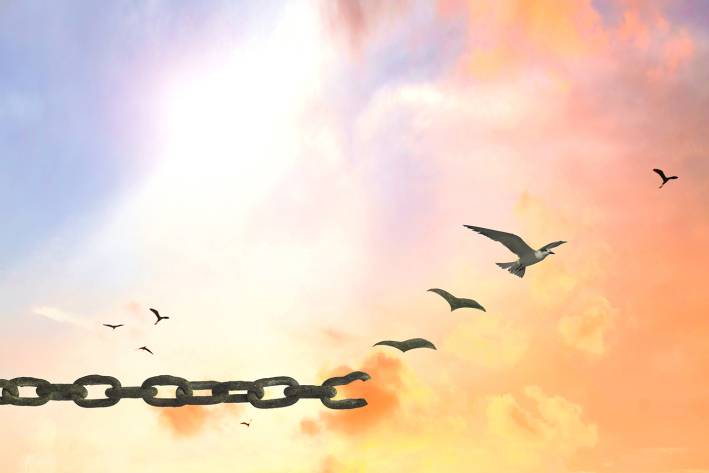 a bird breaking free from a chain and flying into the sun