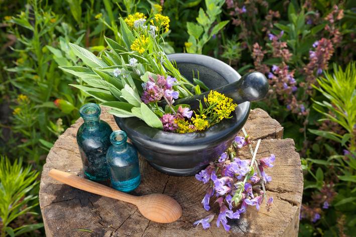 garden-fresh medicinal herbs in a mortar and pestle