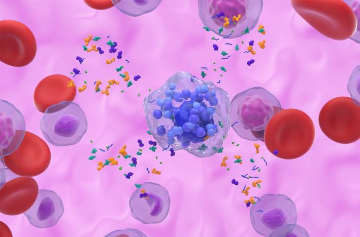 a 3d illustration of activated mast cells releasing granules and a histamine reaction