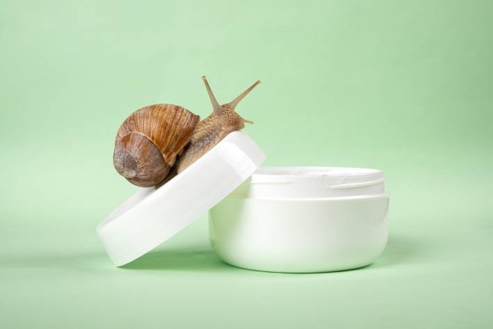 a snail crawling up into a jar of skin cream