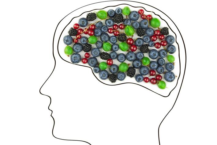 a drawing of a head with a brain filled with berries
