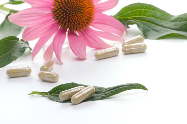 an echinacea flower with capsules of dried powder