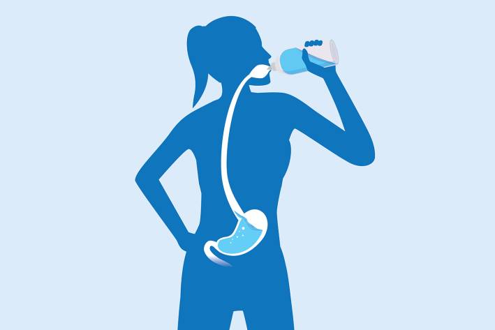 a diagram of a woman drinking water that passes through her digestive system