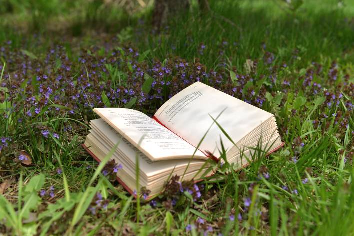 a book of poetry lying open under a tree in a field of wildflowers