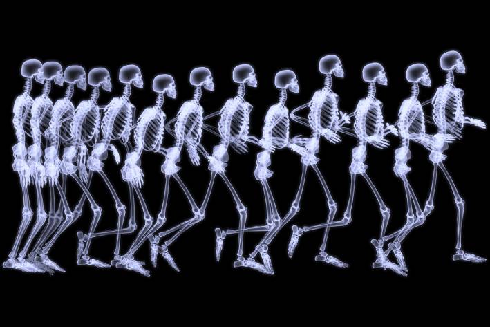 A time-lapse x-ray of a human in motion