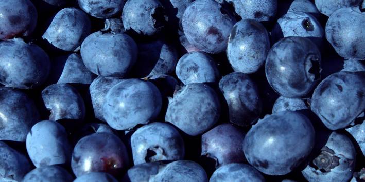 Close up of blueberries.