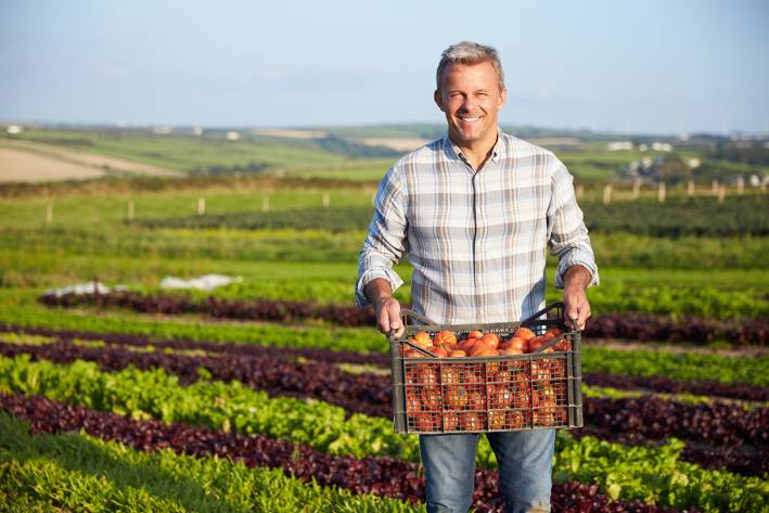 Organic farmer in a feild holding a harvest of vegetables.