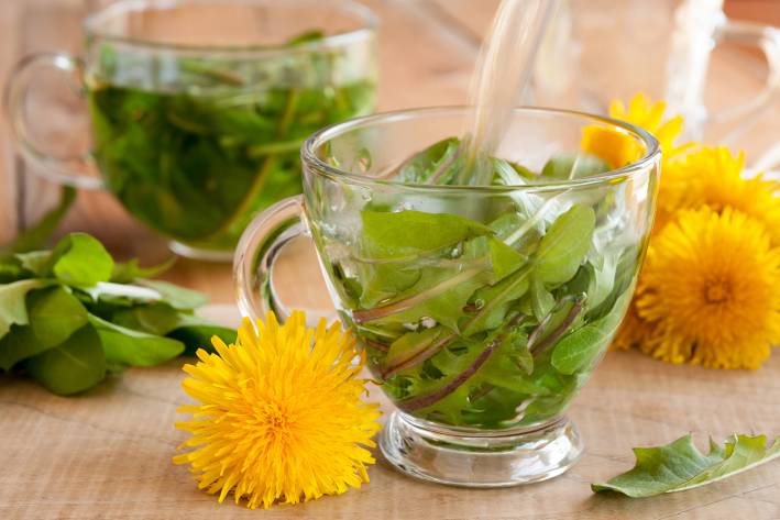 dandelions and other herbs in a teapot
