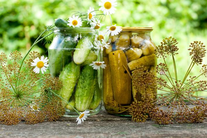 DIY pickle canning at home