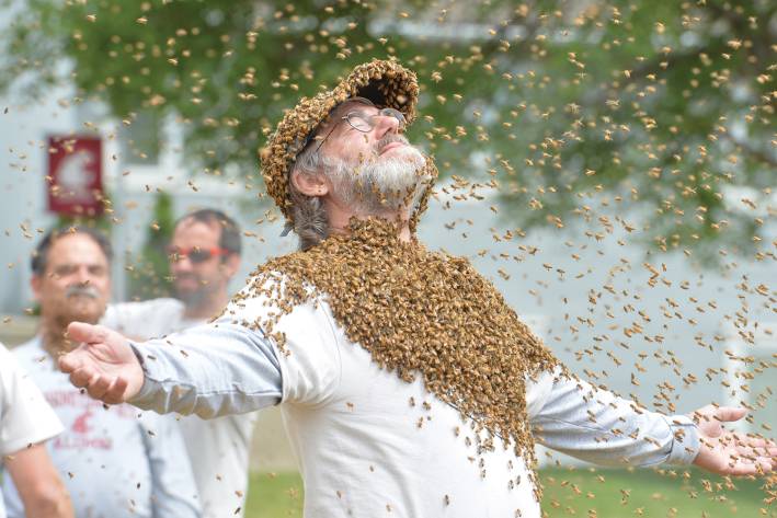 Paul Stamets being swarmed by bees