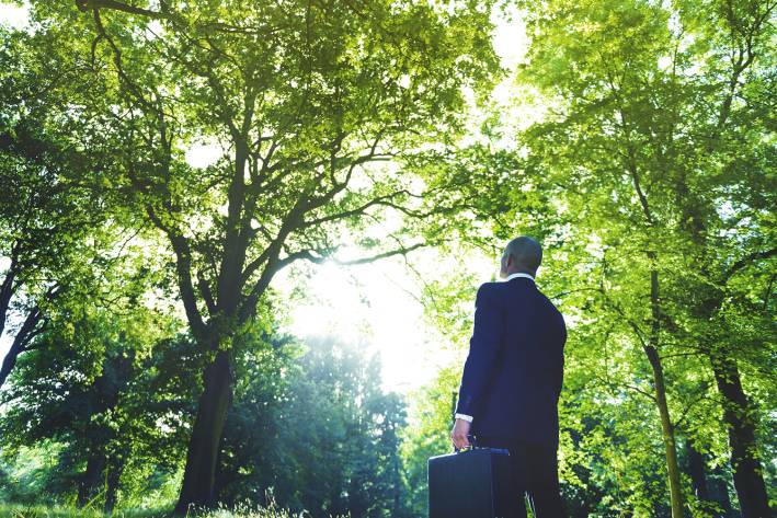 A businessman gazing at light coming through the forest canopy