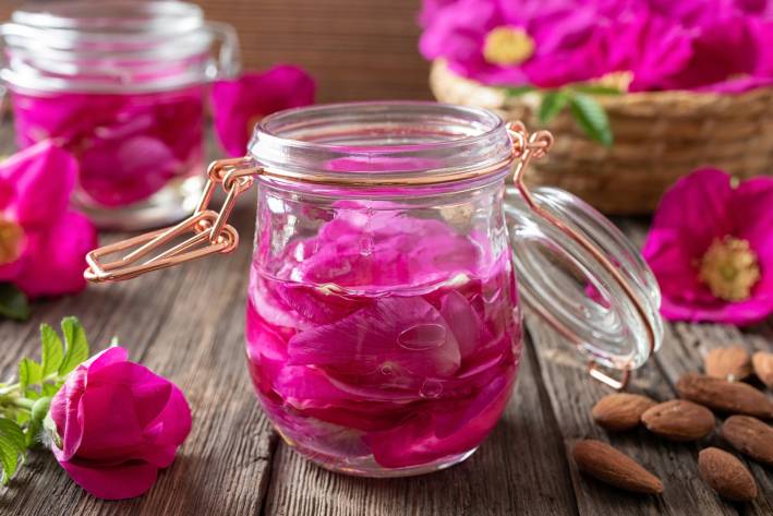 Rose petals macerating in almond oil, to prepare a homemade skin moisturizer.