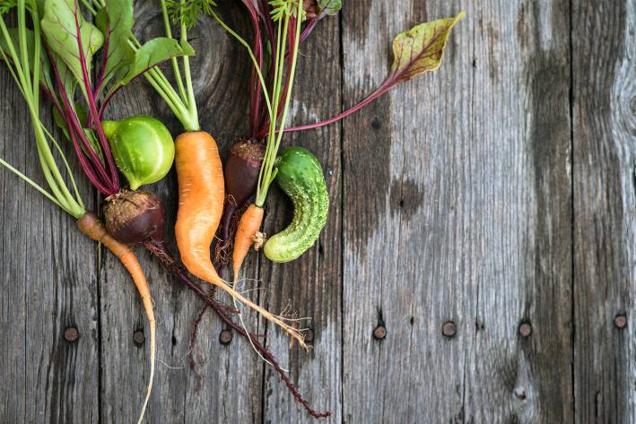 Funny-looking carrots, beetroots, and cucumber, that are all healthy