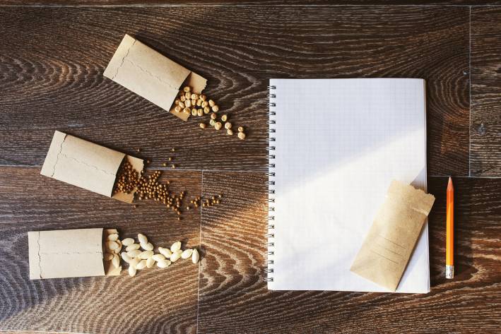 Brown paper seed packets overflowing with seeds. Set on a rustic wooden table with a notebook and pencil. Top view.