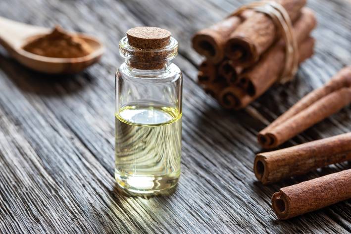 cinnamon bark and a bottle of essential oil
