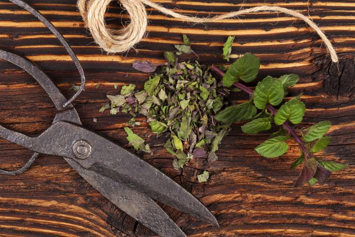 Scissors, twine with fresh whole and cut herbs.