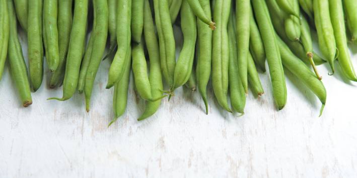 Fresh picked green beans
