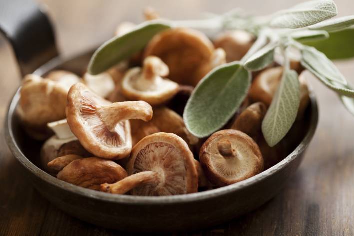 Bowl of mushrooms with herbs. 