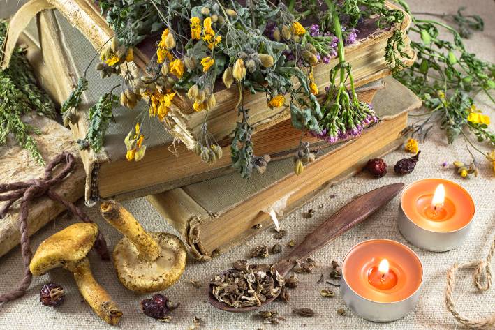 medicinal mushrooms and healing herbs