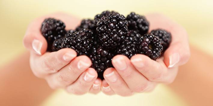 Blackberries