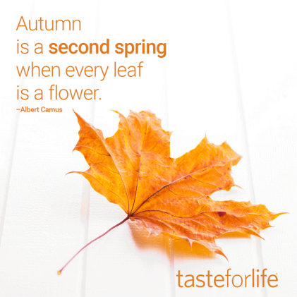 Second Spring | Taste For Life