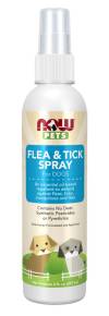 Now Pets Flea & Tick Spray for Dogs