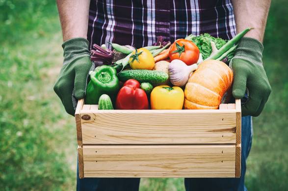 a farmer holding a crate of fresh organic produce