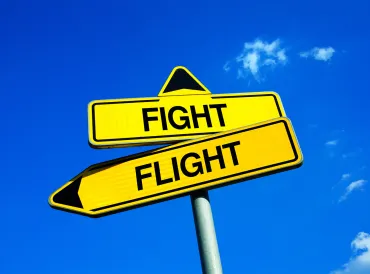 two roadsigns indicating a choice between fight or flight
